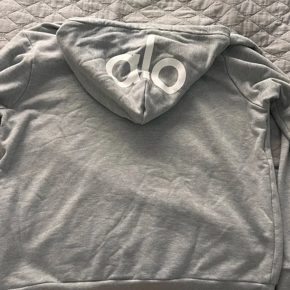 ALO Yoga Gray Short Sleeve Hoodie - Picture 2 of 3